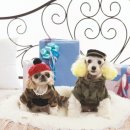 건우동물병원 이미지