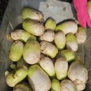 소래젓갈식품 이미지