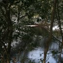 남원읍-12 이미지