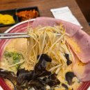 5048 | 마카나이 미아역점 미아역 근처 혼밥하기 좋은 라멘 맛집 햄포뇨라멘 내돈내산 솔직후기