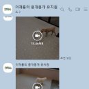 이재룡의 뭉개뭉개 유치원 이미지