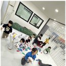 푸른 경희대 태권도장 이미지