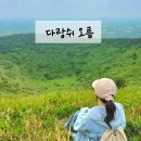 제주 동쪽 오름의 여왕 다랑쉬오름 /난이도, 소요시간/ 메밀밭 포토존
