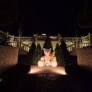 망고호텔 | 제주 신라호텔 27주 임산부 태교여행｜어덜트풀·쁘띠카바나·차돌짬뽕·조식·신라호텔망고빙수 후기🤍