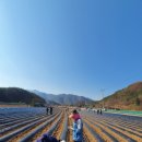 속리산면행정복지센터 이미지