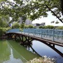 한국방송통신대학교 경기지역대학 이미지