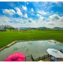 카페2020 이미지