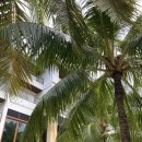 데스티노24(Destino24) | 보홀여행] 마사지샵 - Thai paradise spa and salon / 보홀맛집 라모이 메뉴 추천 / Destino 펍
