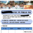 롯데 워터파크 할인권 이미지