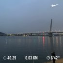 (주)싱코스 네이버블로그