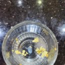 단골참치 이미지