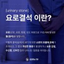 청주365일 의원 | 청주요로결석, 24시간 진료가 중요한 이유