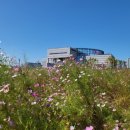 화랑유원지_남측 이미지