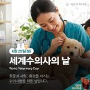 냥이 많은 식탁 이미지
