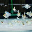 (주)아쿠아링크 이미지