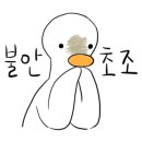 하리애견 이미지