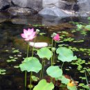 녹번서근린공원 이미지