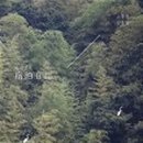 몽도 게스트하우스 이미지