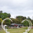 뚝방흑염소 이미지