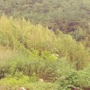 구산면580 이미지