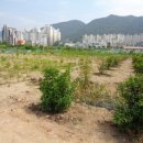 계룡로(상동동) 이미지