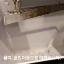 서울 보문동 뚜레** 중국산 버티컬 제빙기 제빙기 청소 및 하우징 정수필터 설치 - 커피머신설치 제빙기설치 커피머신관리 제빙기청소 온수 이미지