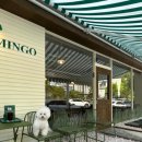 카페노이 이미지