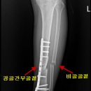 대한민국행정사 이미지