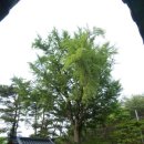별묘 경로당 | [제13코스] 밀양 ‘산외면 남가마을 ~ 단장면 구미마을’