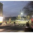 노성남 동물병원 이미지