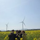 제주 | 제주도 가이드 투어 편안했던 제주 관광 후기