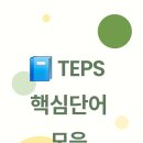 📘 TEPS 기출 핵심단어 모음
