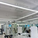 더 보스짐 이미지