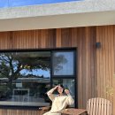 낙천서가 이미지