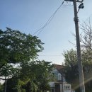차담제