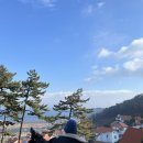 마인스 | 내돈내산 독일마을에만 있다는 남해여행선물 리스트 공유