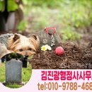 유 행정사사무소 이미지
