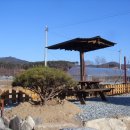 카페 자주 Daum카페
