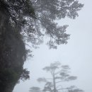 행복한추억 이미지