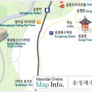 송정해수욕장 2호 이미지