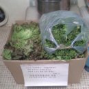 충훈부지역아동센터 이미지