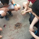 천천초교 이미지