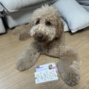 버박코리아(주) 이미지