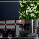 아라리게스트하우스 이미지