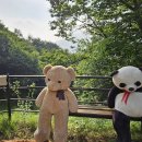 가평 블루문 캠핑장 후기 | 수영장 있는 오토캠핑장 2026 최신 정보