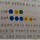 [노량진 영광독서실] 2019학년도 경상북도(초등), 경기도(중등) 공립특수학교 임용시험