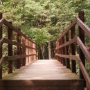 명심孝요양원1호점 | 사빈의 앞산 여행 (5) : 매자골 여행