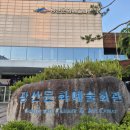 달노래연습장 | 광산문화예술회관 창작뮤지컬 '망월' 관람 후기