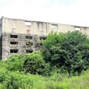 선은식농장 이미지