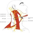 더블유필라테스 이미지